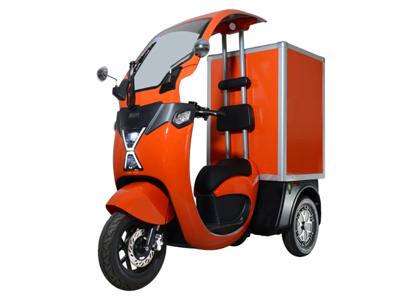 Triciclo elétrico de carga – Série OAK